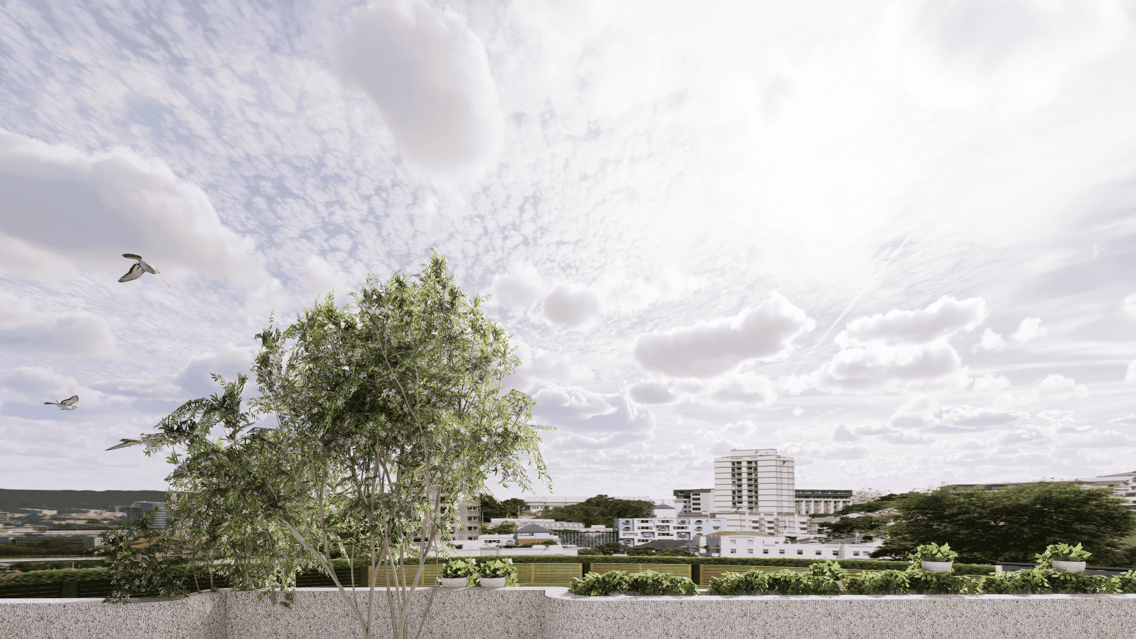 Office hallway with glass partitions